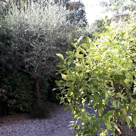 Les Troenes 2* Montpellier