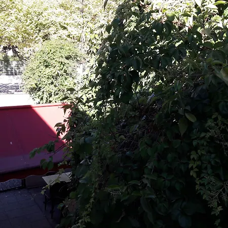 Otel Les Troenes Montpellier