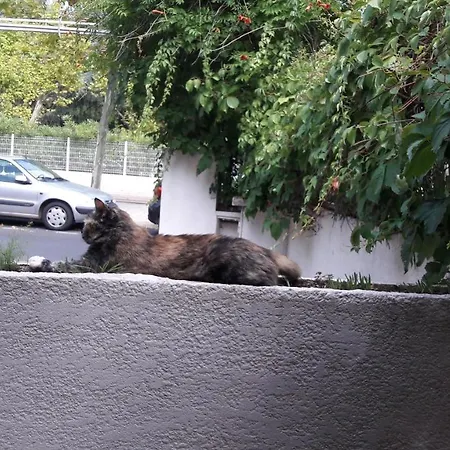 Les Troenes Montpellier