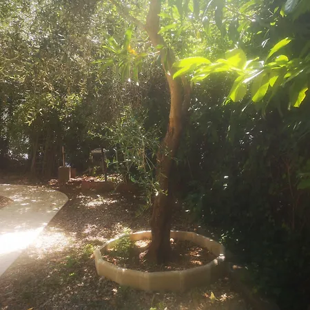 Les Troenes Montpellier