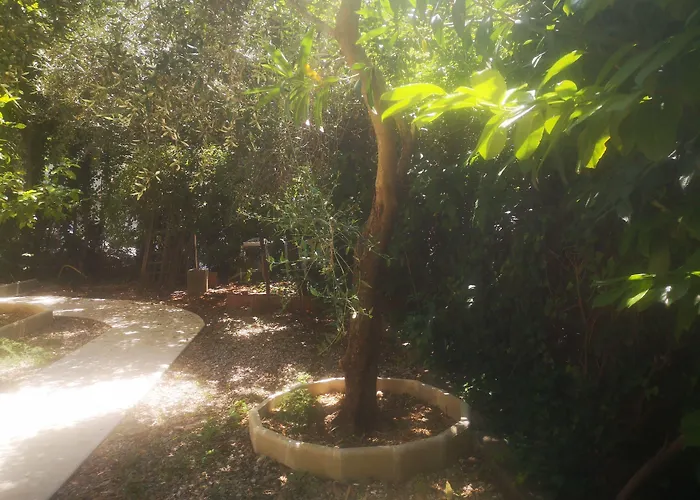 Les Troenes Montpellier